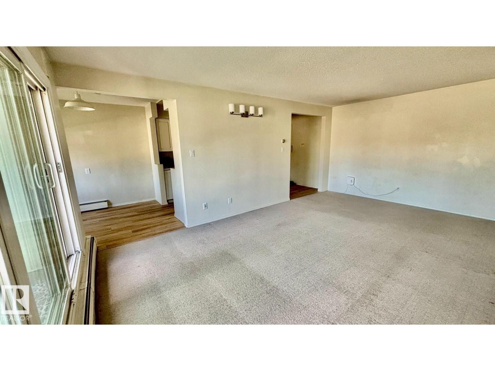 #203 11445 41 Av NW, Edmonton, Alberta  T6J 0T9 - Photo 13 - E4494173