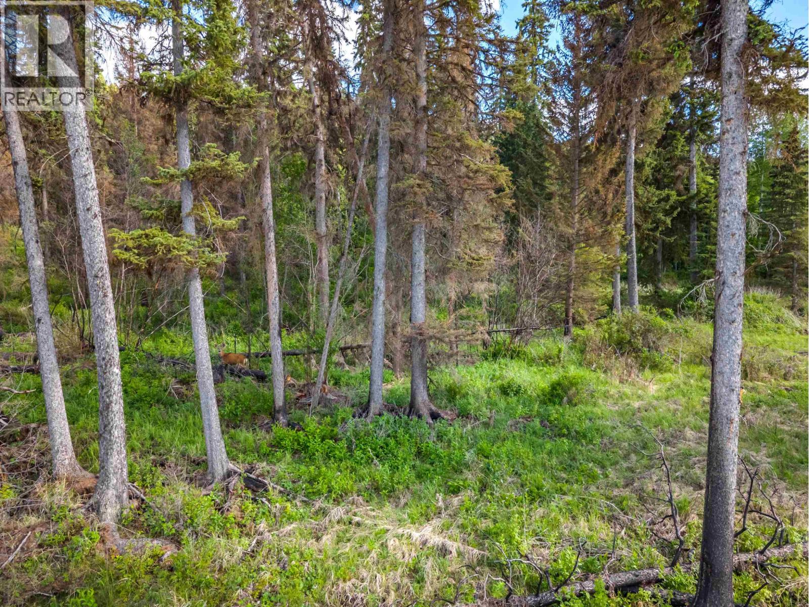 Lot 8 Horse Lake Road, Horse Lake, British Columbia  V0K 1X3 - Photo 13 - R3136367