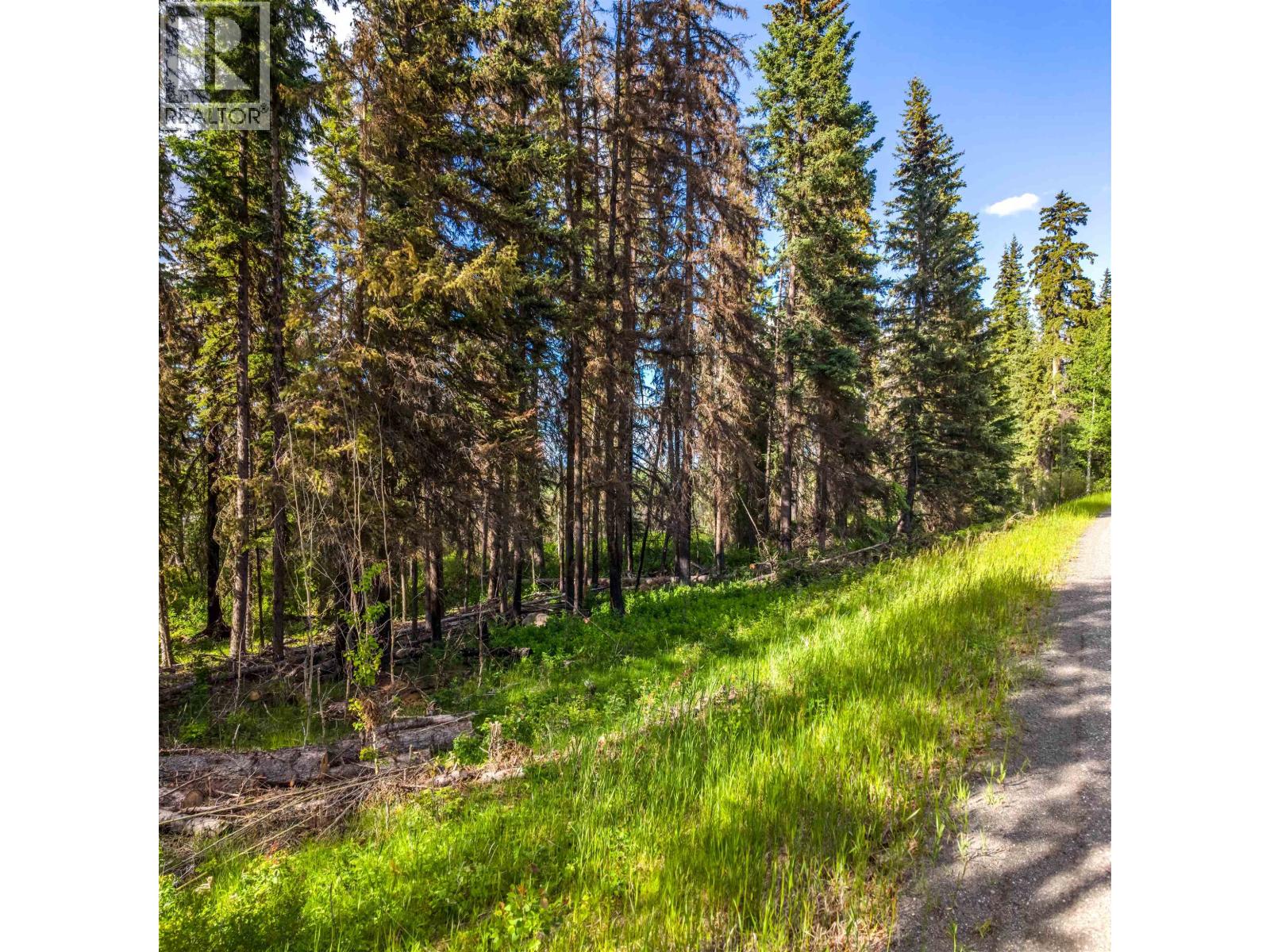 Lot 8 Horse Lake Road, Horse Lake, British Columbia  V0K 1X3 - Photo 11 - R3136367