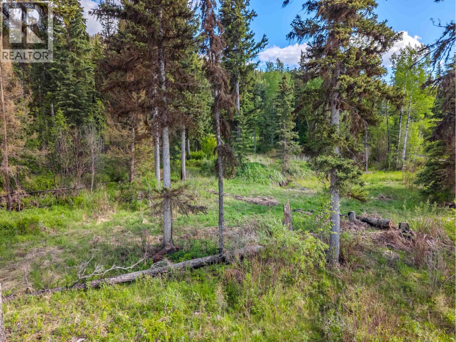 Lot 8 Horse Lake Road, Horse Lake, British Columbia  V0K 1X3 - Photo 14 - R3136367
