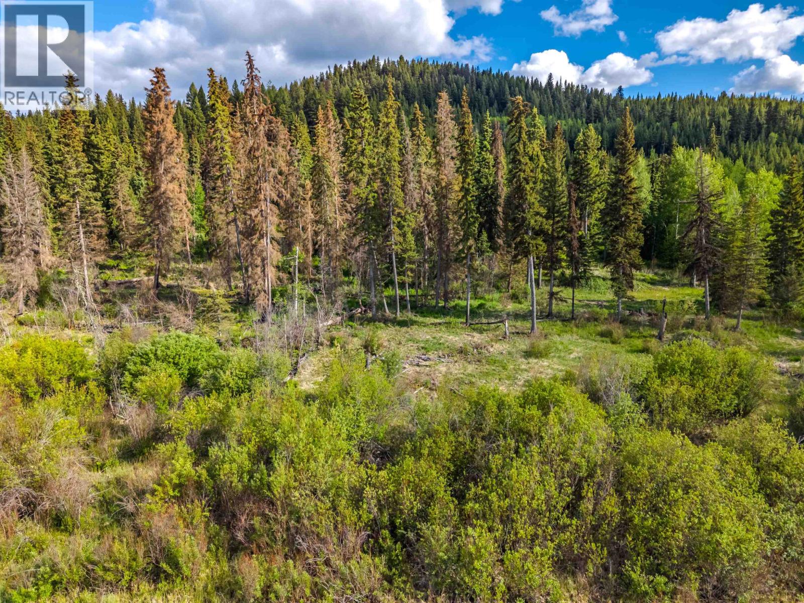 Lot 8 Horse Lake Road, Horse Lake, British Columbia  V0K 1X3 - Photo 17 - R3136367