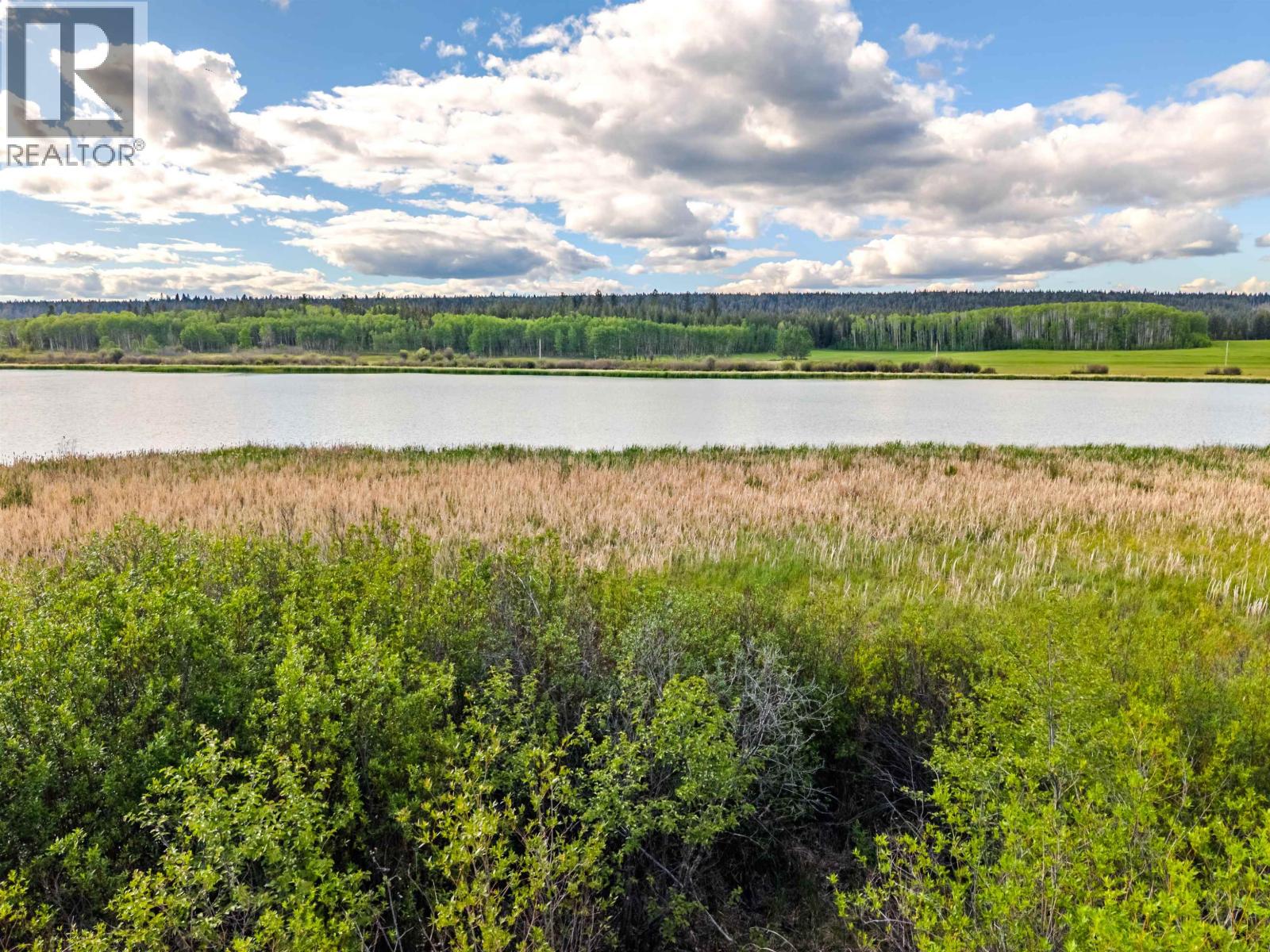 Lot 8 Horse Lake Road, Horse Lake, British Columbia  V0K 1X3 - Photo 8 - R3136367