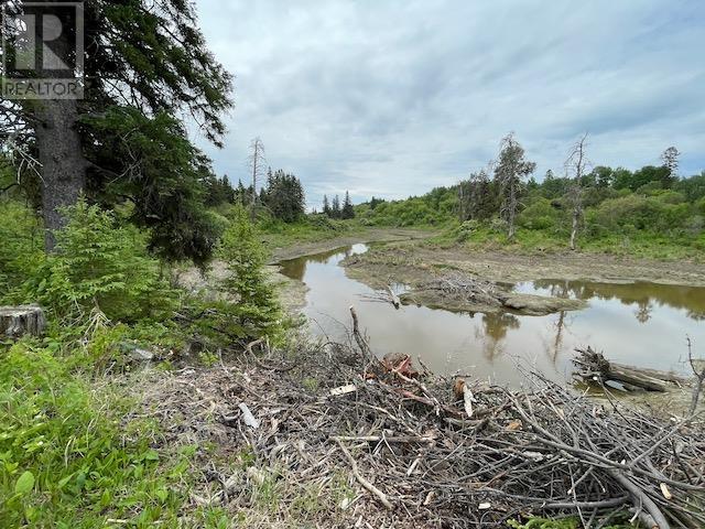 588 Thiel Rd, Dryden, Ontario  P8N 3G2 - Photo 18 - TB2601567