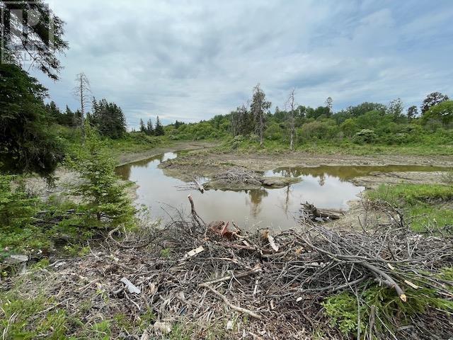 588 Thiel Rd, Dryden, Ontario  P8N 3G2 - Photo 29 - TB2601567