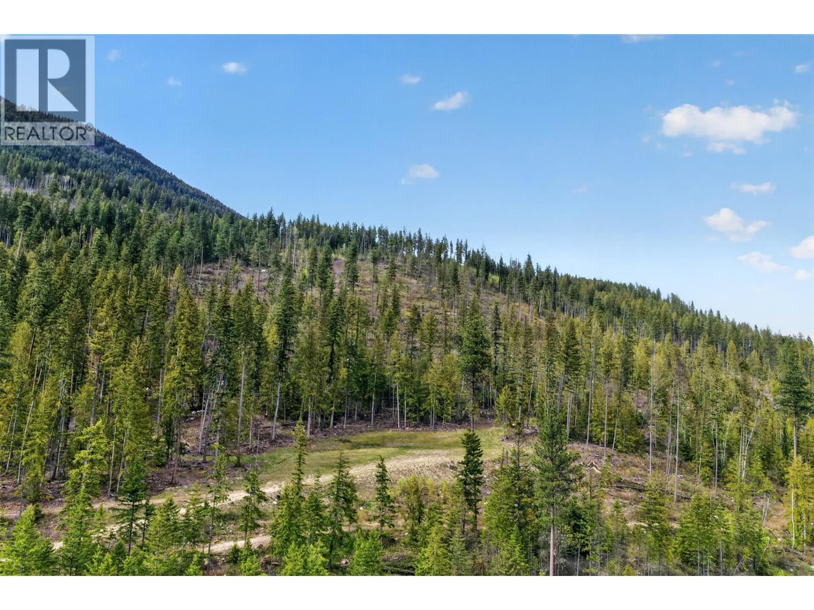 Dl 7620 Rogers Road, Balfour, British Columbia  V0G 1C0 - Photo 3 - 10390339