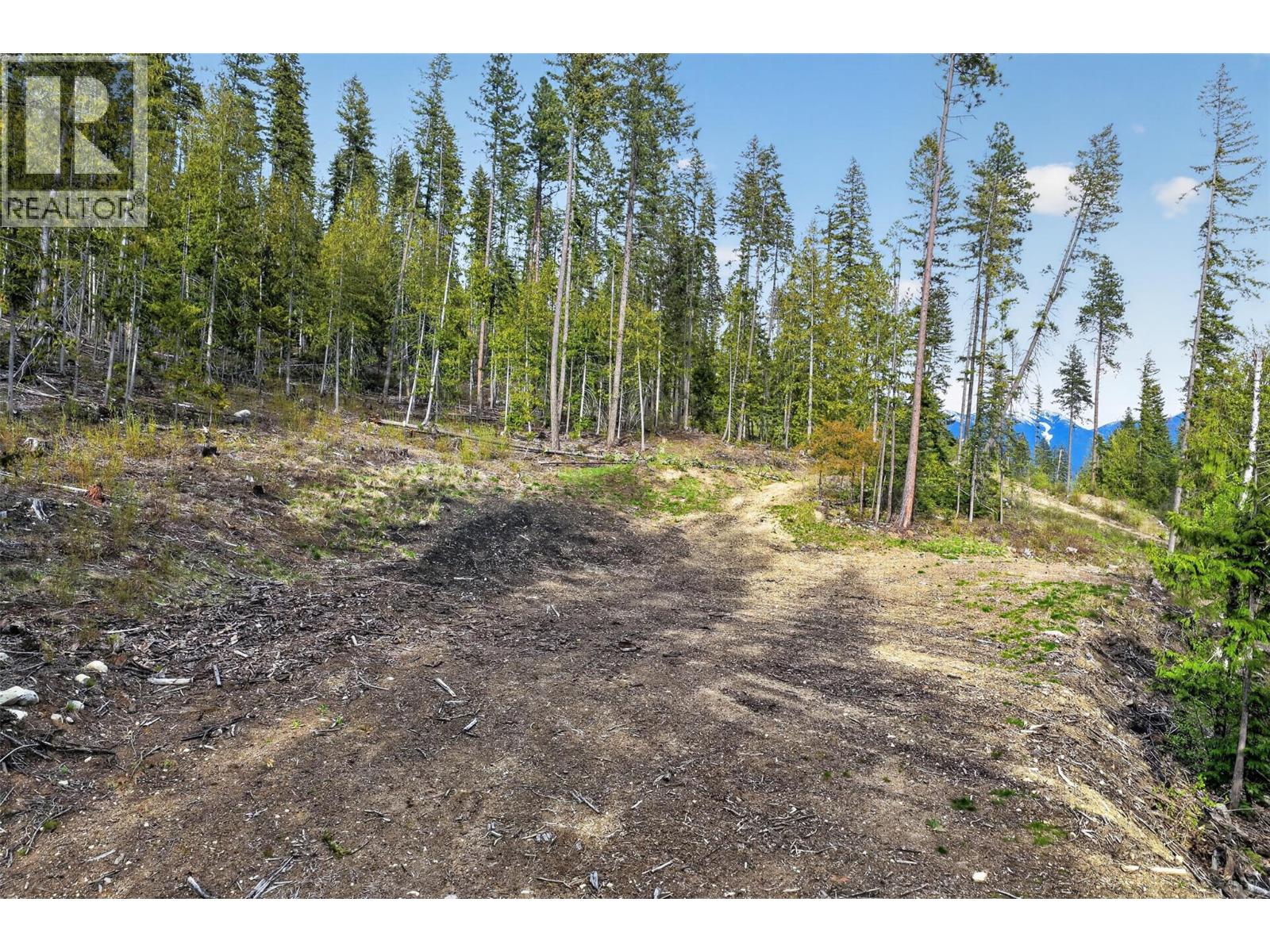 Dl 7620 Rogers Road, Balfour, British Columbia  V0G 1C0 - Photo 10 - 10390339