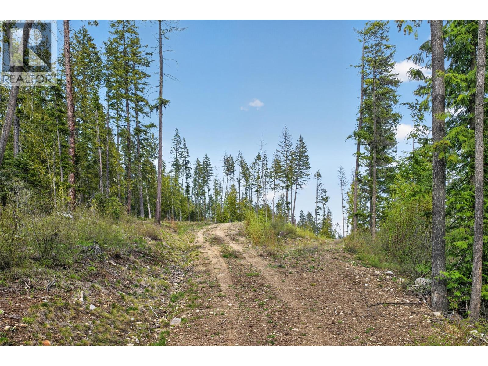 Dl 7620 Rogers Road, Balfour, British Columbia  V0G 1C0 - Photo 8 - 10390339