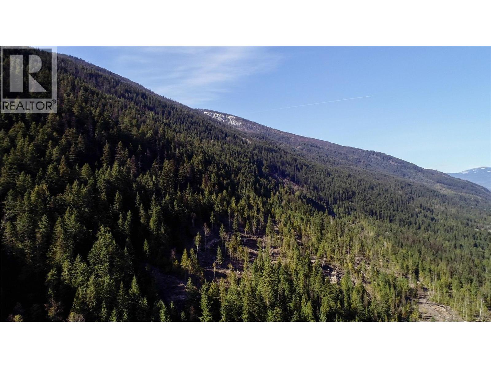 Dl 12488 Mckean Road, Appledale, British Columbia V0G 2J0 - Photo 6 - 10381857