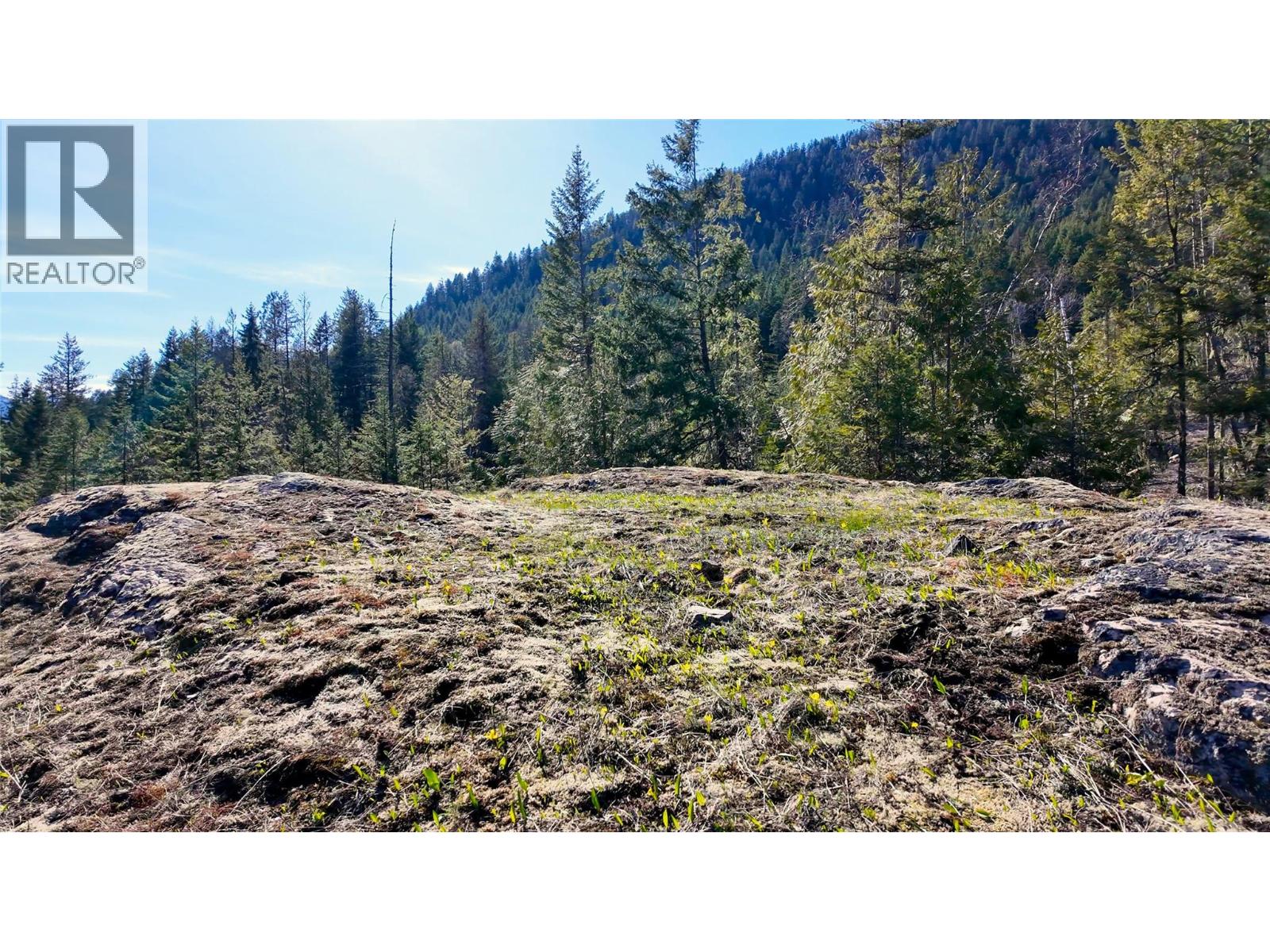 Dl 12488 Mckean Road, Appledale, British Columbia V0G 2J0 - Photo 16 - 10381857