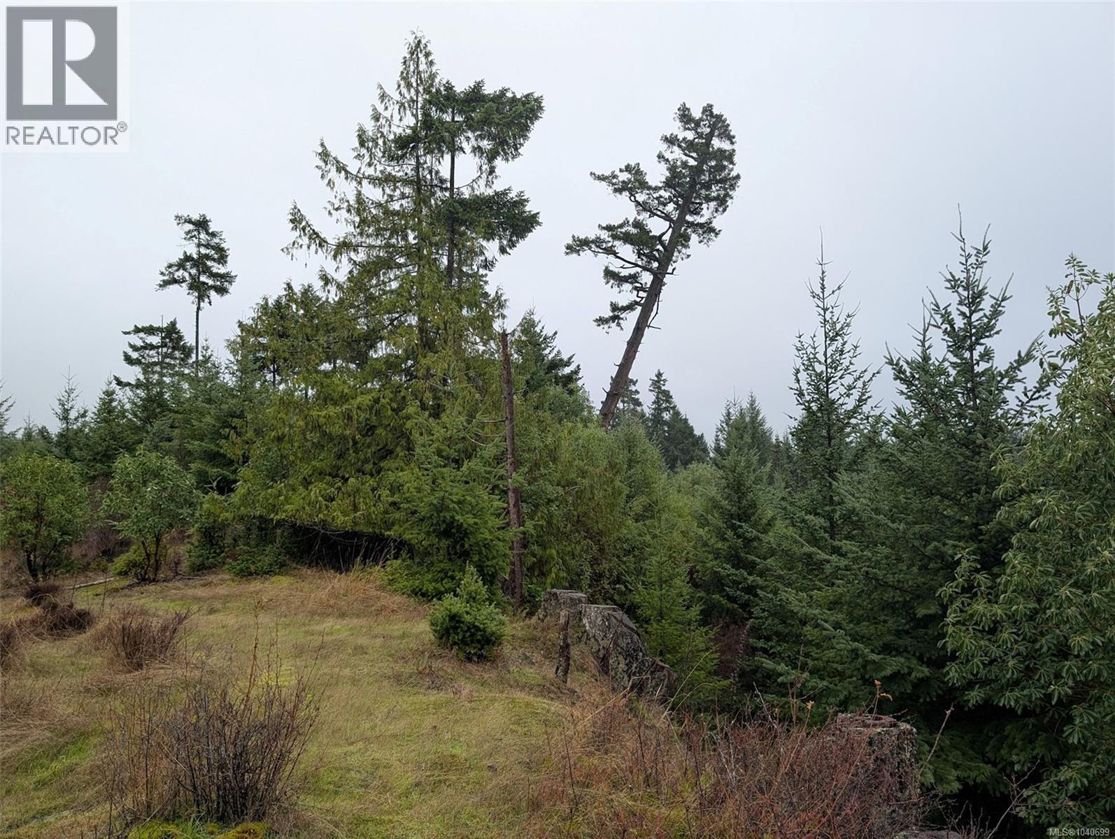 8401 Keith Wagner Way, Denman Island, British Columbia  V0R 1T0 - Photo 5 - 1040699