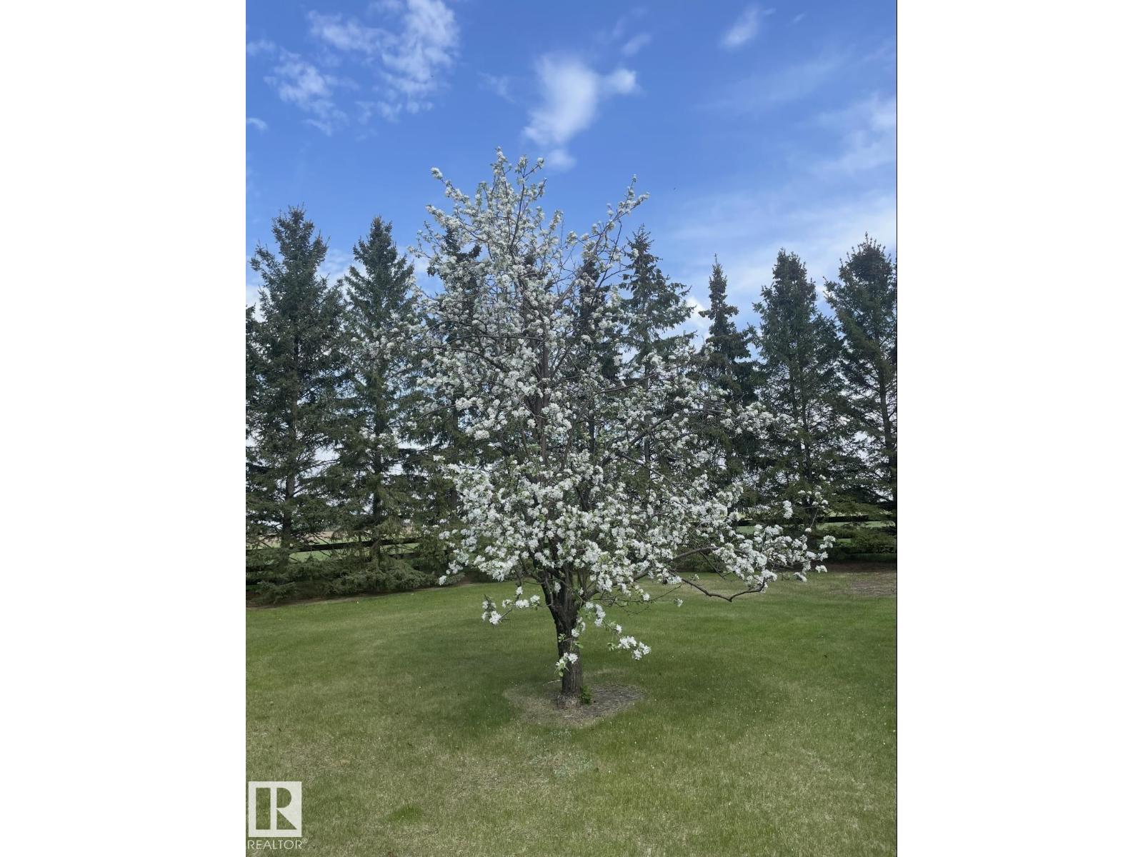 55521 Rge Road 233, Rural Sturgeon County, Alberta  T0A 1N1 - Photo 62 - E4494122