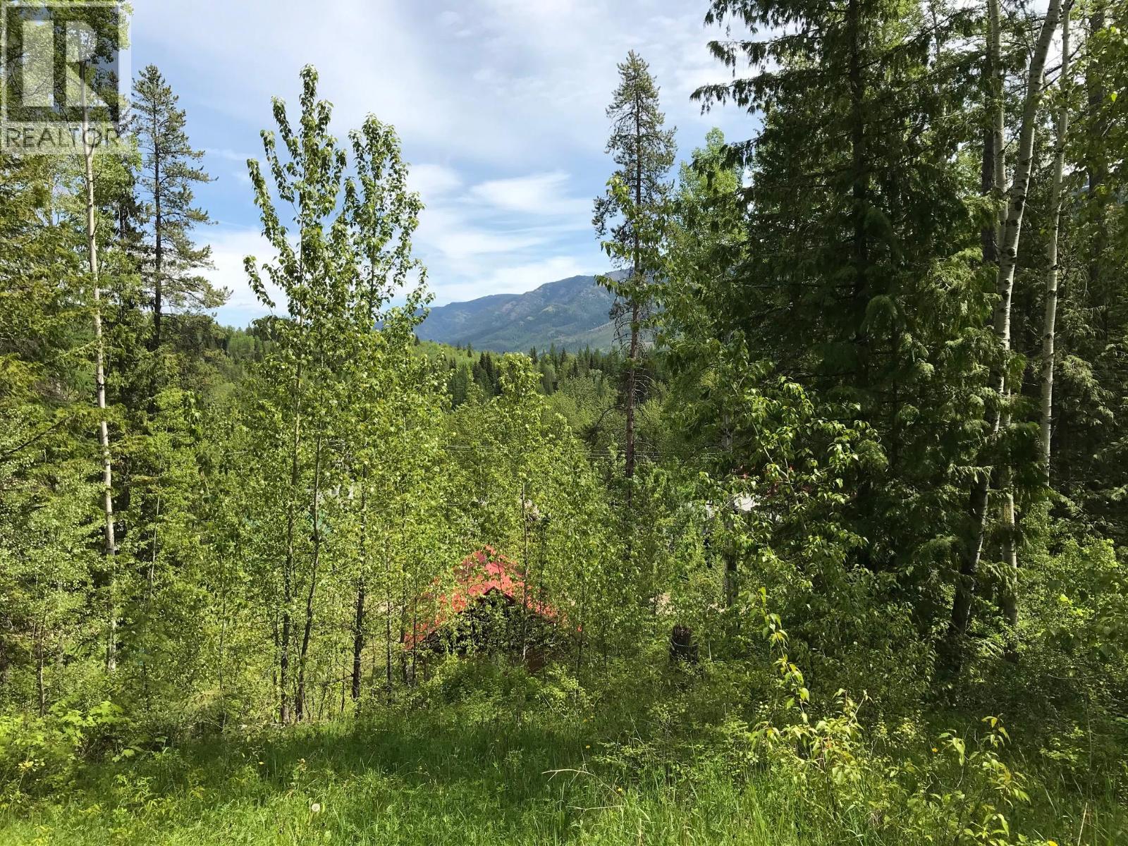 9 Alpine Trail Place Unit# Lot 16, Fernie, British Columbia  V0B 1M5 - Photo 7 - 10357727