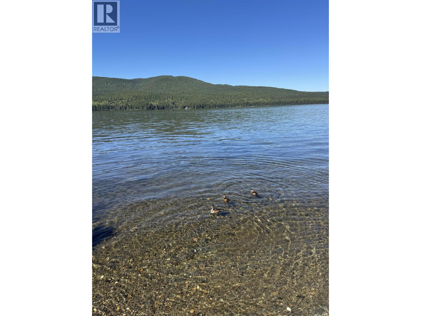34720 Purden Lake Road, Prince George, British Columbia  A9A 9A9 - Photo 14 - R3129698