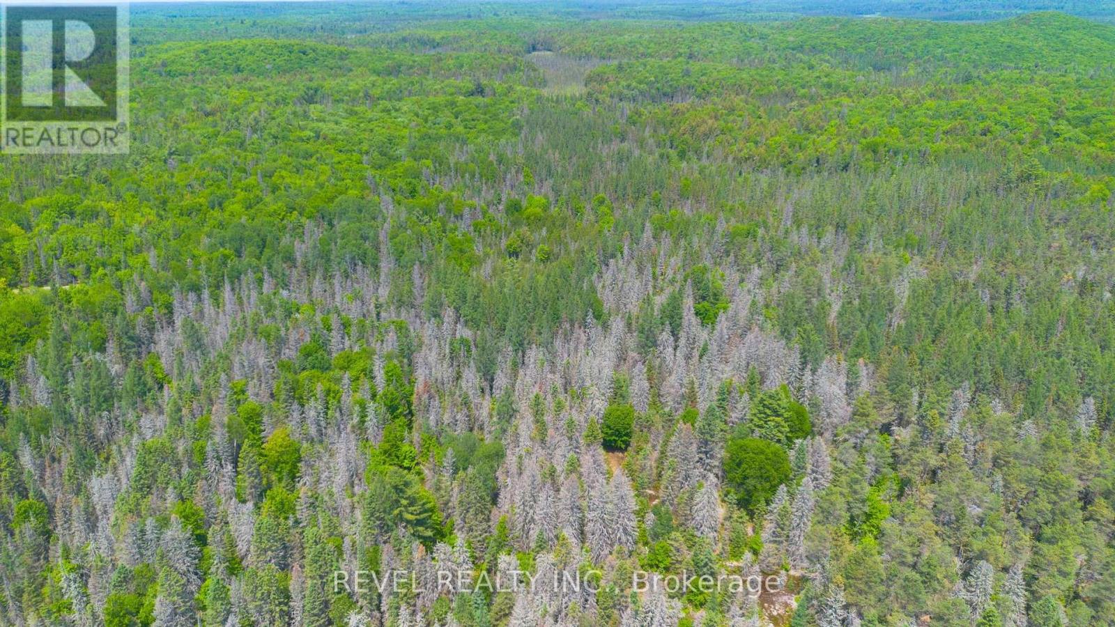 3994 Eagle Lake Road, Parry Sound Remote Area, Ontario  P0A 1X0 - Photo 48 - X13435746