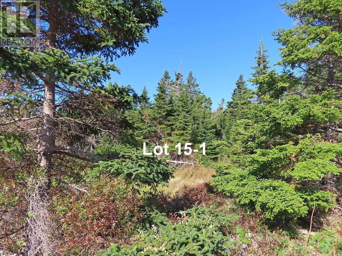 Lots 15&15-1 Hwy 316 (English Hbr), Cole Harbour, Nova Scotia  B0H 1T0 - Photo 19 - 202514326
