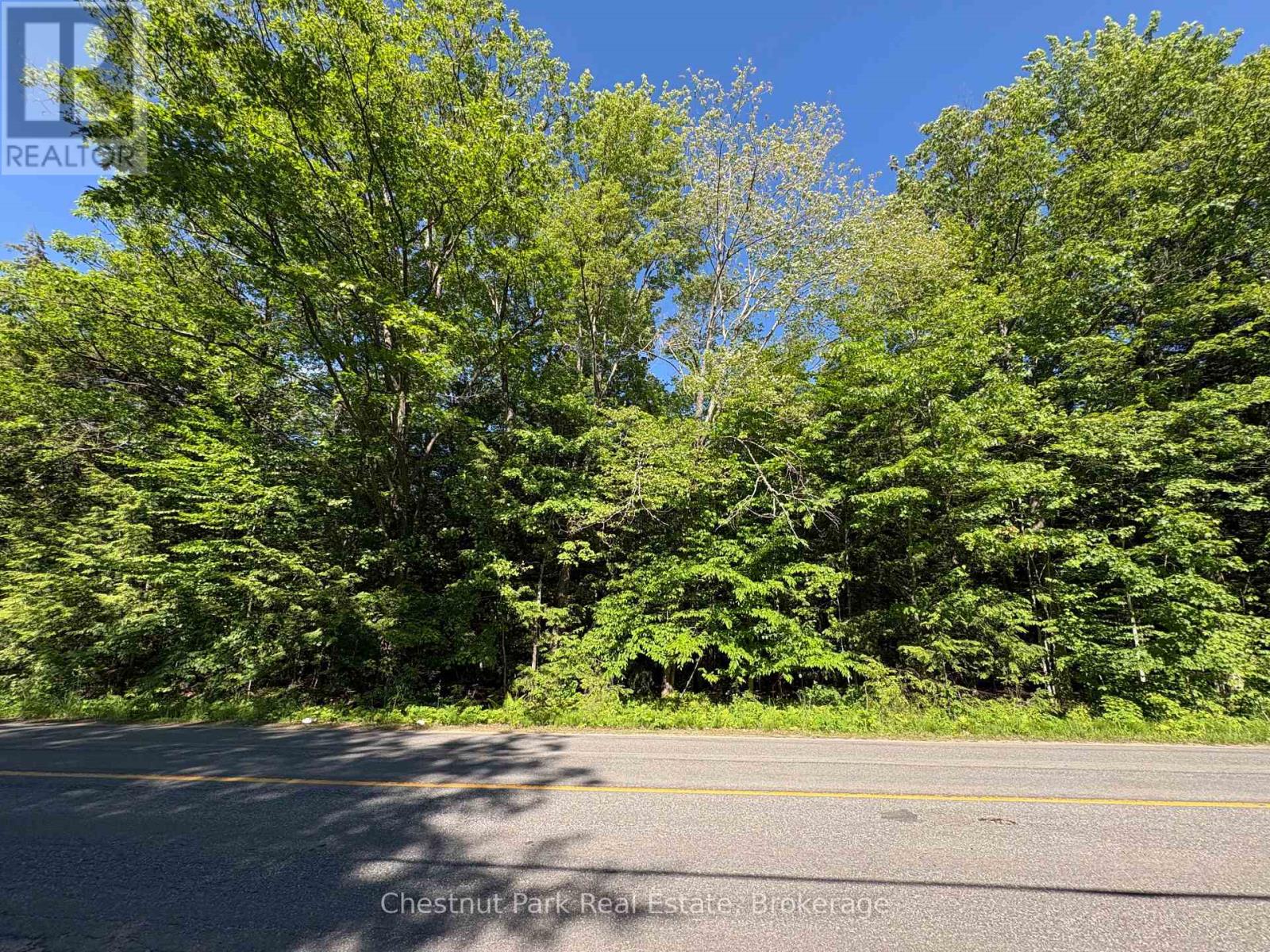 1493 Golden Beach Road, Bracebridge, Ontario  P1L 1W8 - Photo 13 - X13459210