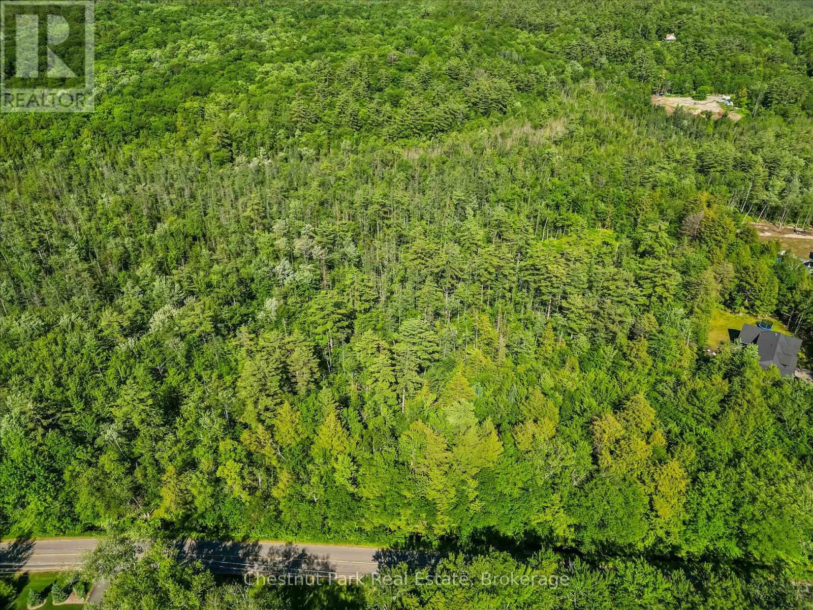 1493 Golden Beach Road, Bracebridge, Ontario  P1L 1W8 - Photo 4 - X13459210