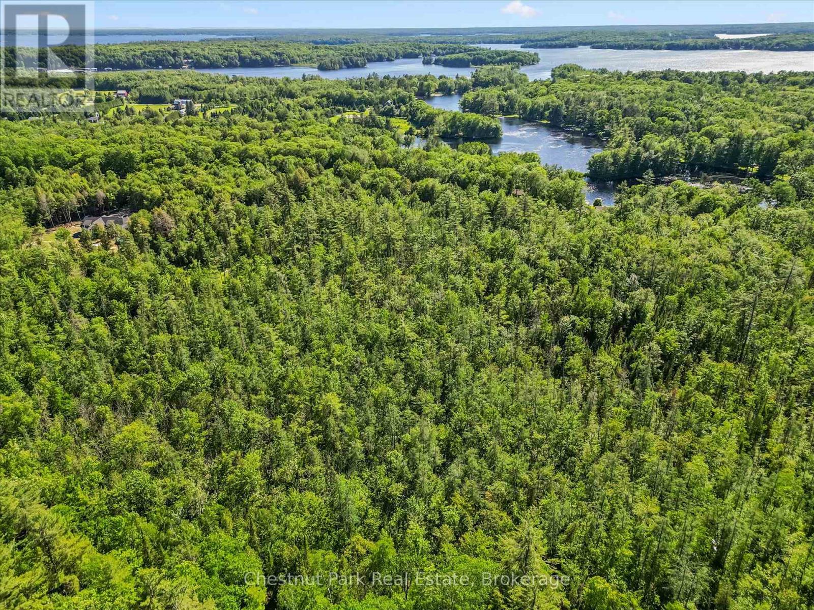 1493 Golden Beach Road, Bracebridge, Ontario  P1L 1W8 - Photo 6 - X13459210
