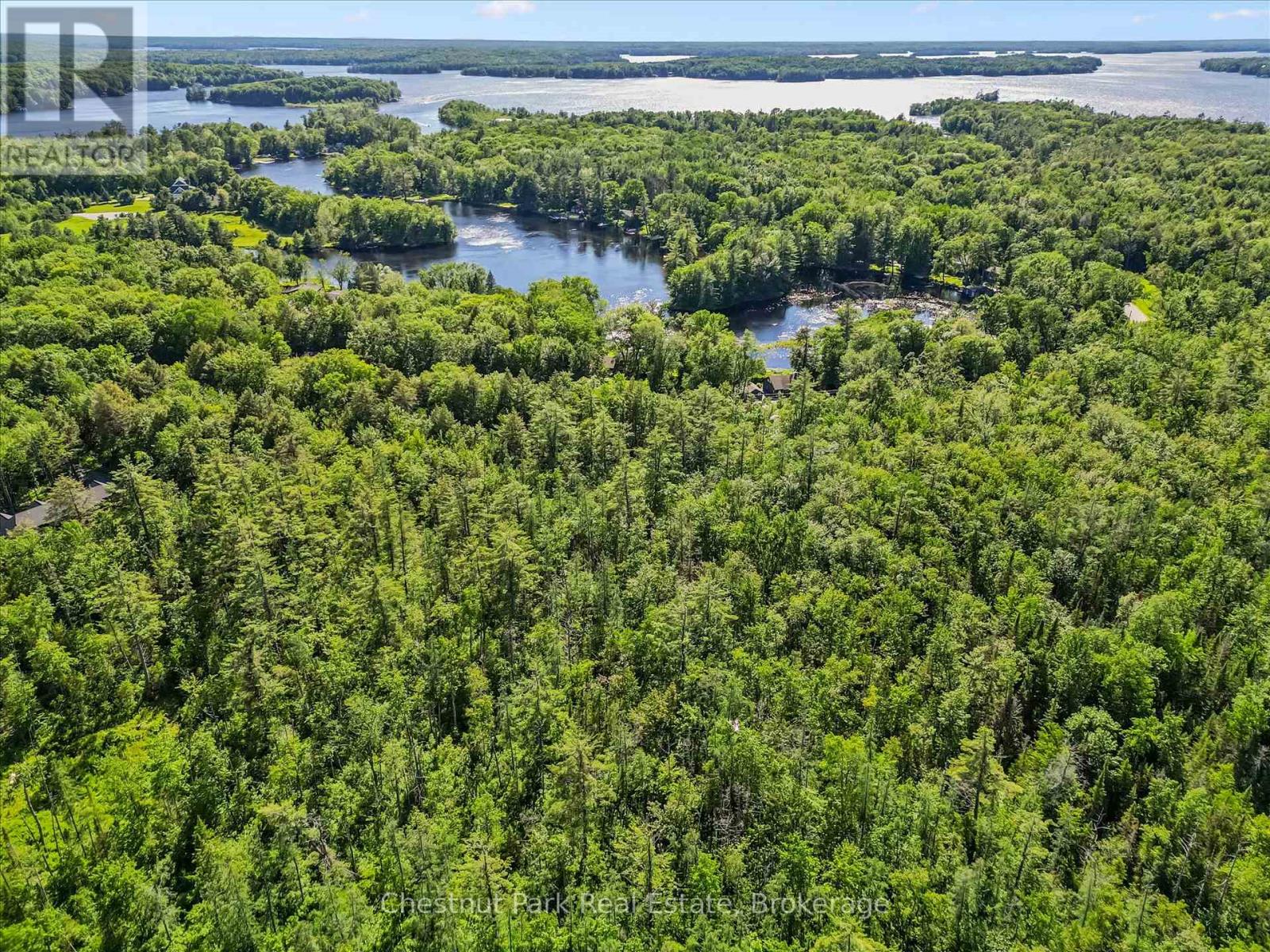 1493 Golden Beach Road, Bracebridge, Ontario  P1L 1W8 - Photo 8 - X13459210