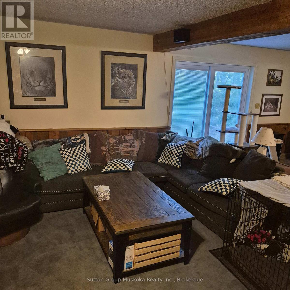 8 Gouldie Street, Huntsville, Ontario  P1H 1M5 - Photo 5 - X13459234