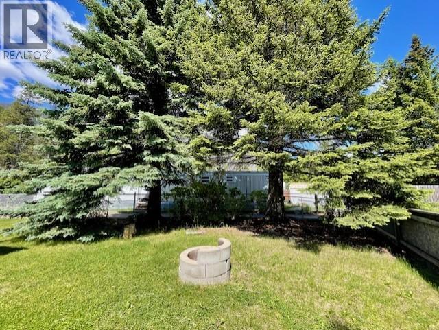 388 Red Cedar Crescent, Sparwood, British Columbia  V0B 2G0 - Photo 23 - 10391569