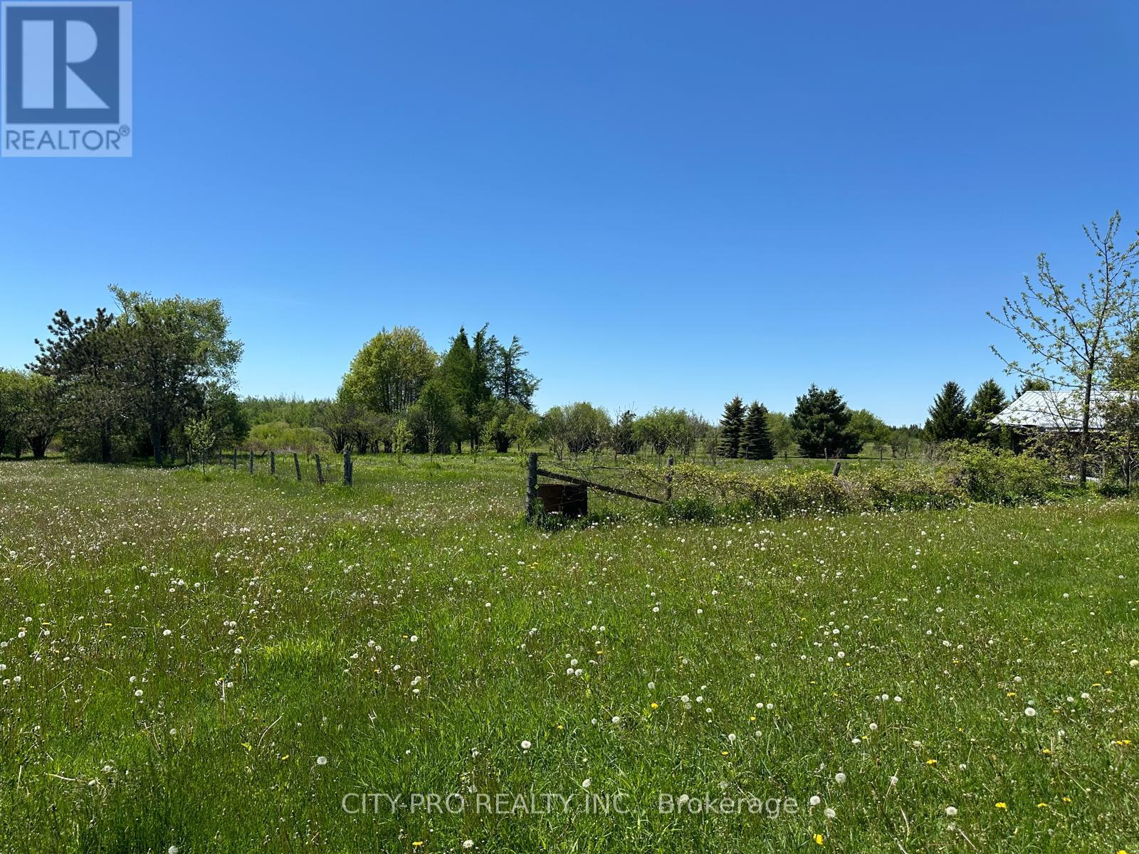 513370 2nd Line, Amaranth, Ontario  L9W 0S4 - Photo 23 - X13423898