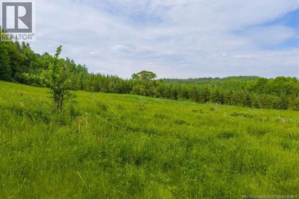 3124 Route 124, Kars, New Brunswick  E5T 2Y8 - Photo 25 - NB141603