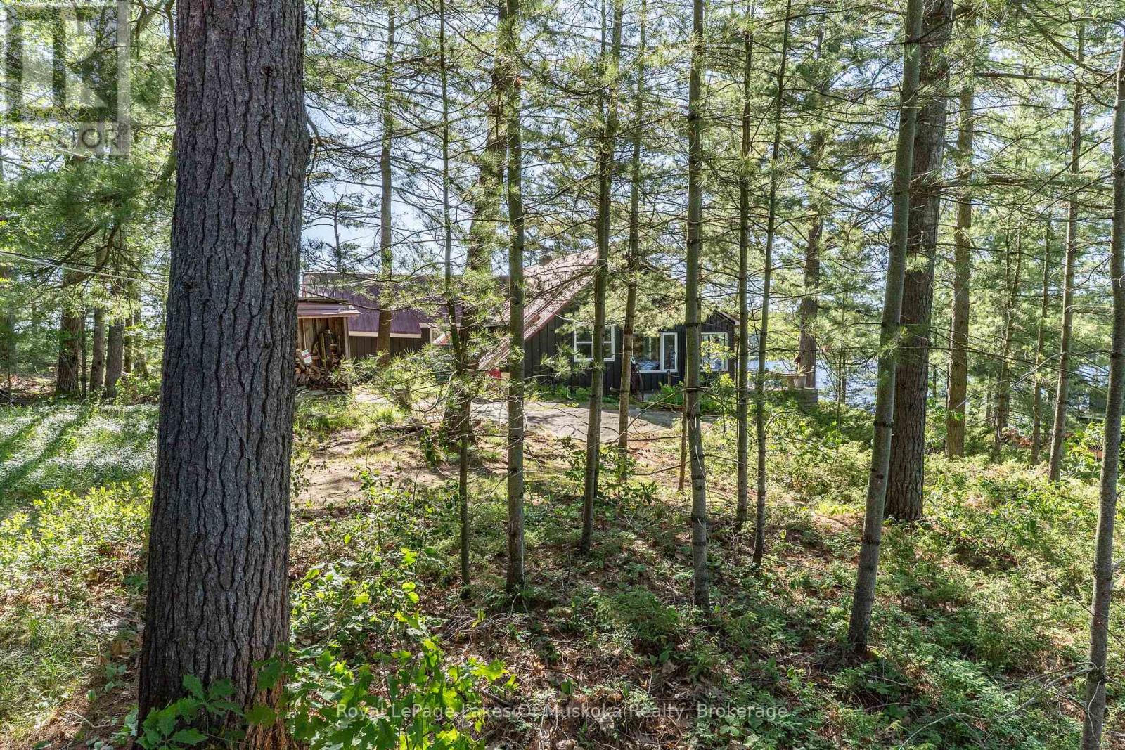 1 Island 9kl (1 Chief Island), Gravenhurst, Ontario  P0E 1G0 - Photo 38 - X13455552