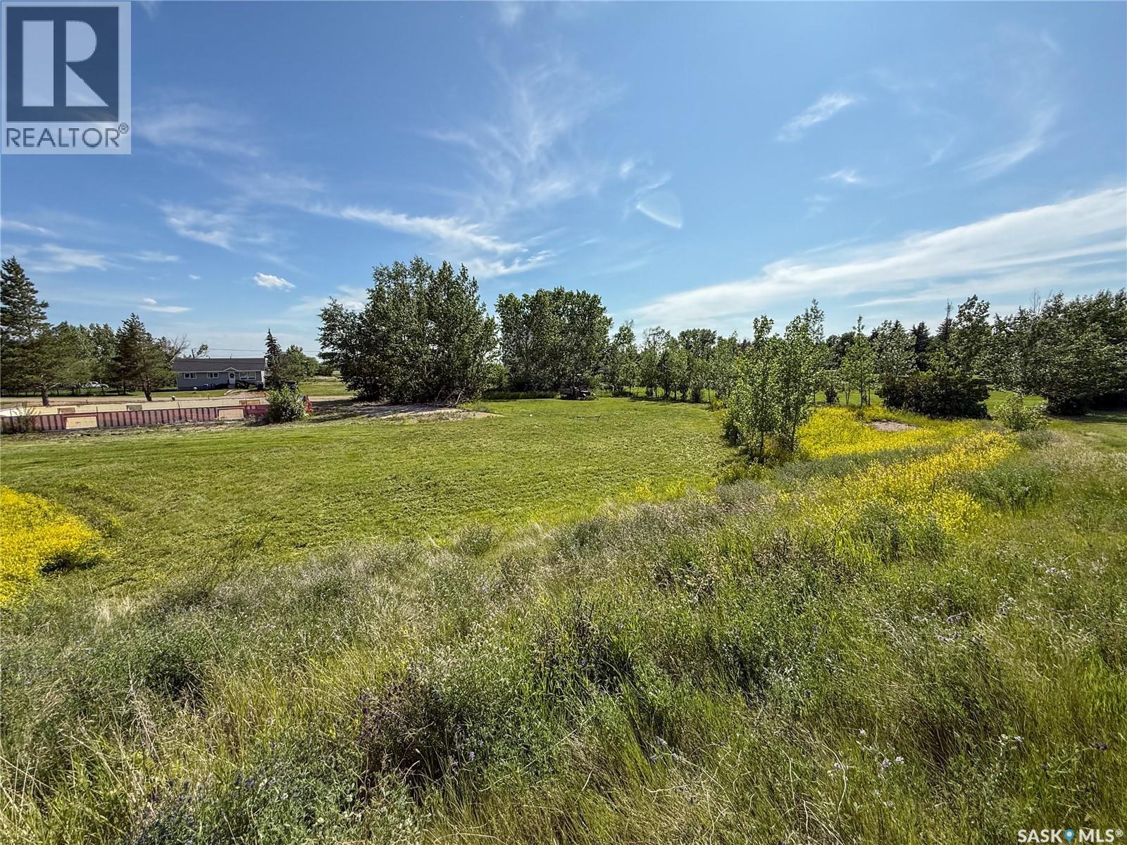 313 2nd Avenue W, Climax, Saskatchewan S0N 0N0 - Photo 16 - SK039849