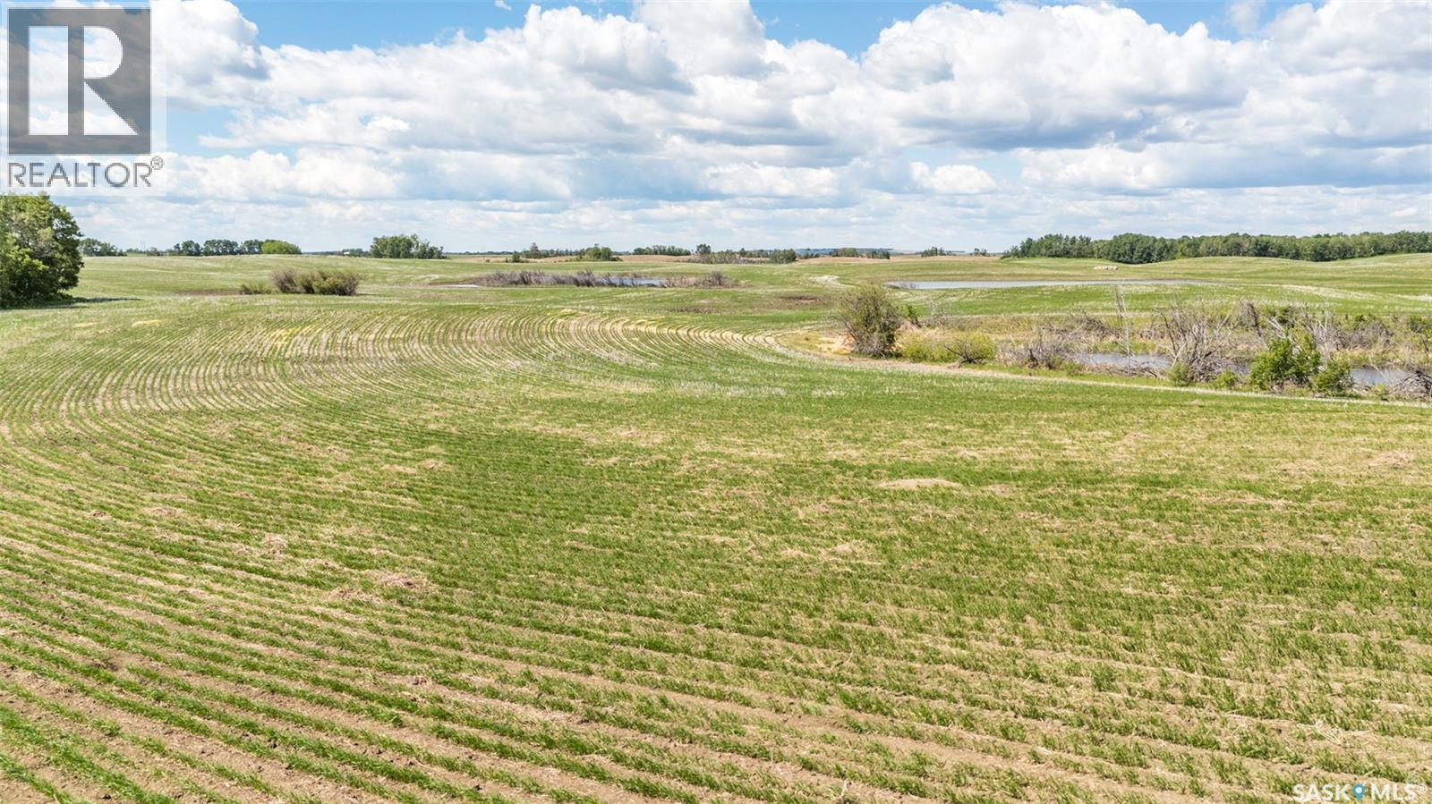 Davis Farmland, Prince Albert Rm No. 461, Saskatchewan S6V 5P9 - Photo 2 - SK039620