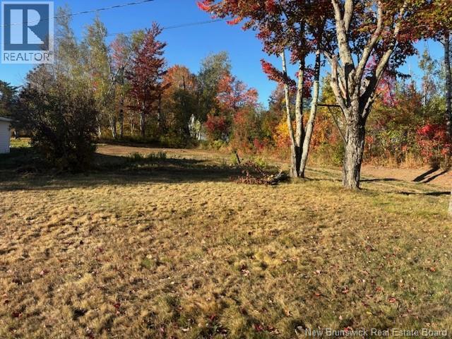 103 Main Street, Minto, New Brunswick E4B 3L6 - Photo 12 - NB126147