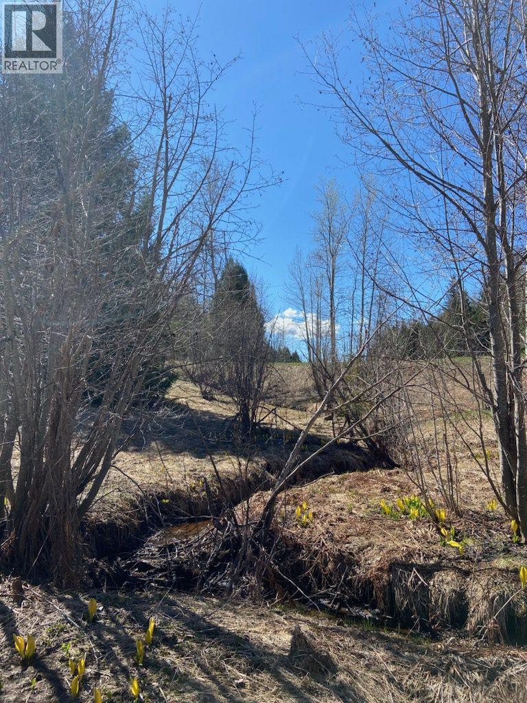 201 Joliffe Way, Rossland, British Columbia  V0G 1Y0 - Photo 30 - 10391884