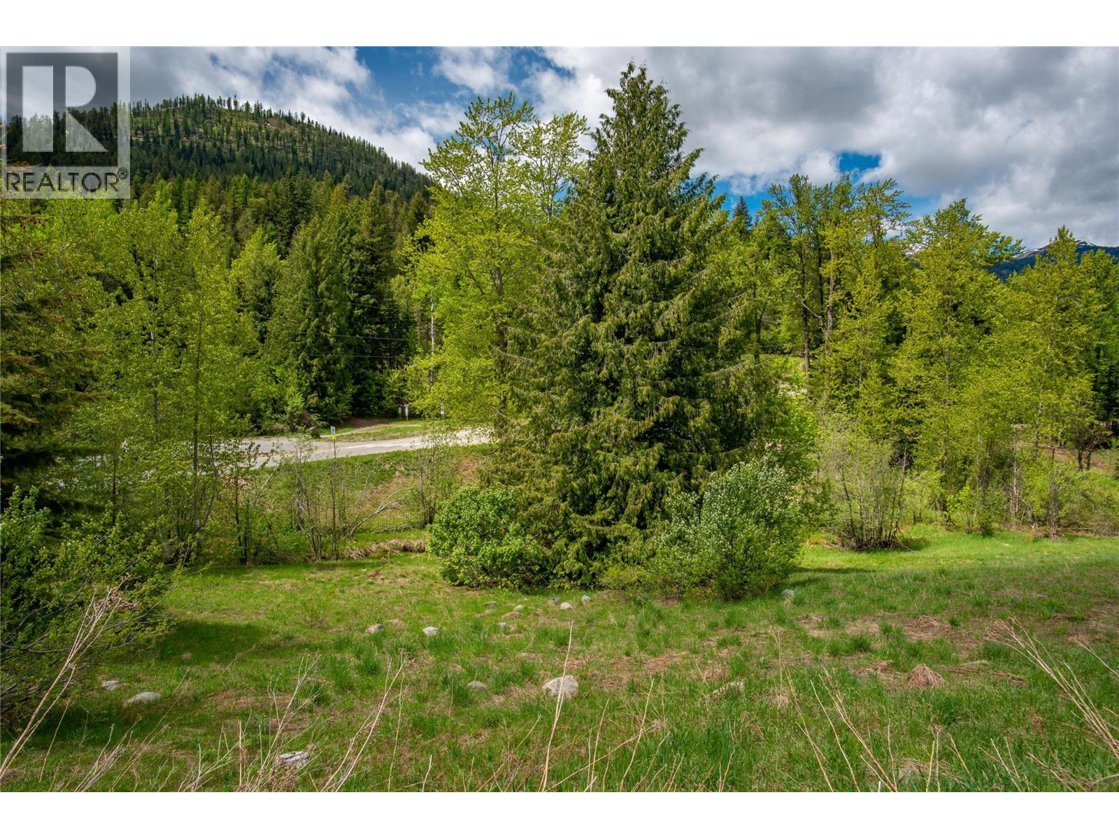 201 Joliffe Way, Rossland, British Columbia  V0G 1Y0 - Photo 34 - 10391884