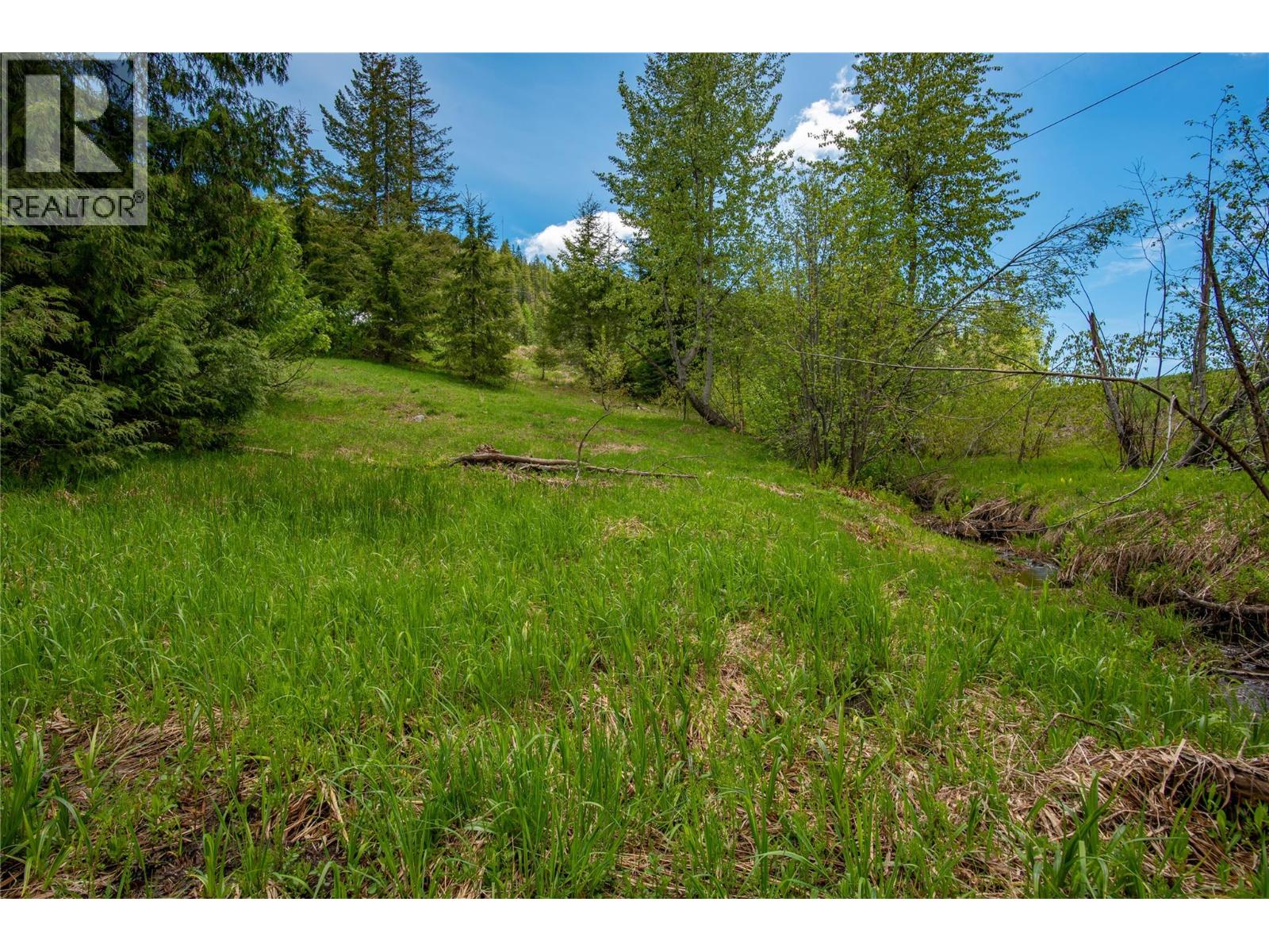 201 Joliffe Way, Rossland, British Columbia  V0G 1Y0 - Photo 39 - 10391884