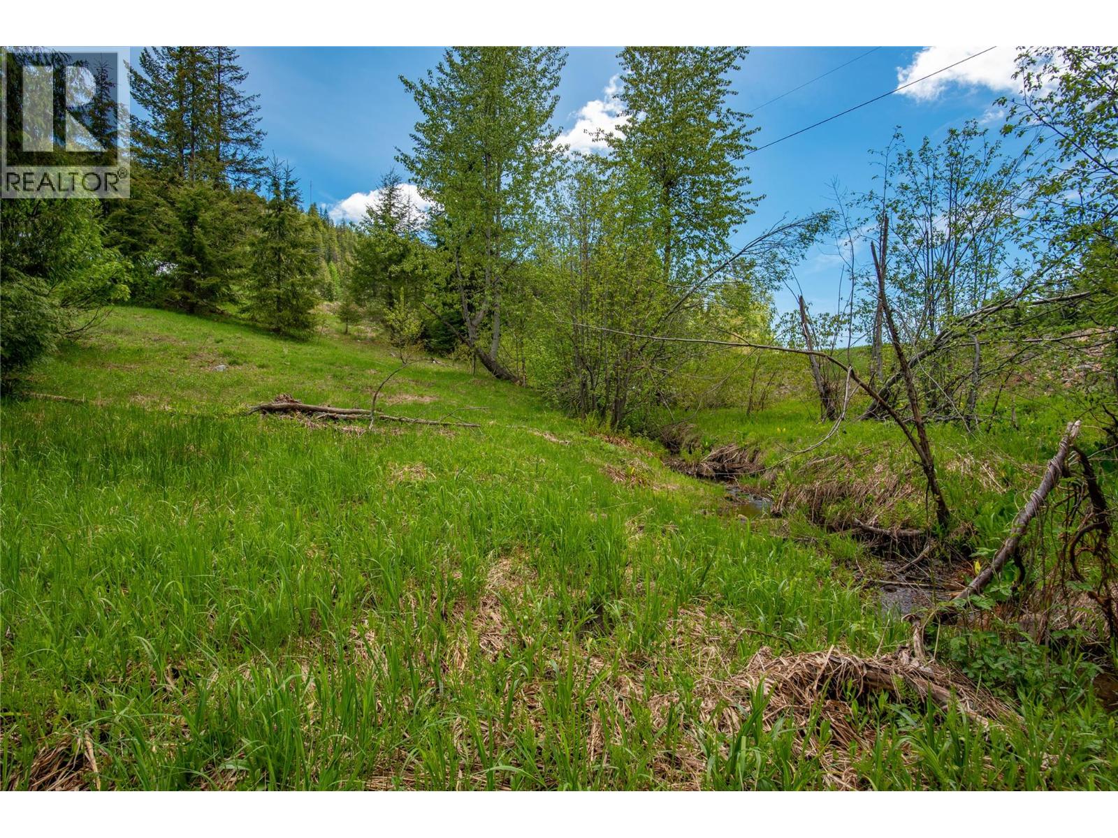 201 Joliffe Way, Rossland, British Columbia  V0G 1Y0 - Photo 40 - 10391884