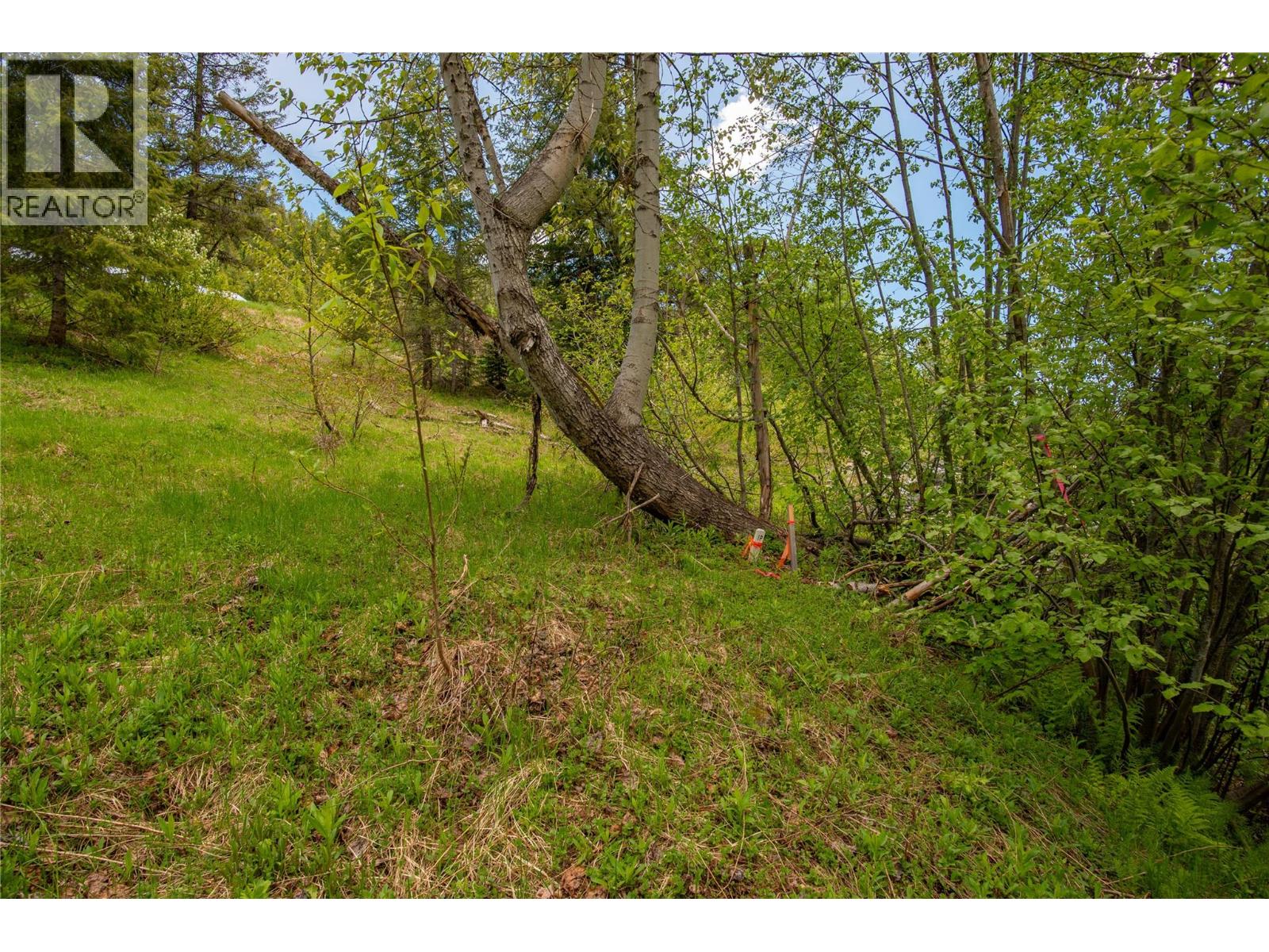 201 Joliffe Way, Rossland, British Columbia  V0G 1Y0 - Photo 41 - 10391884