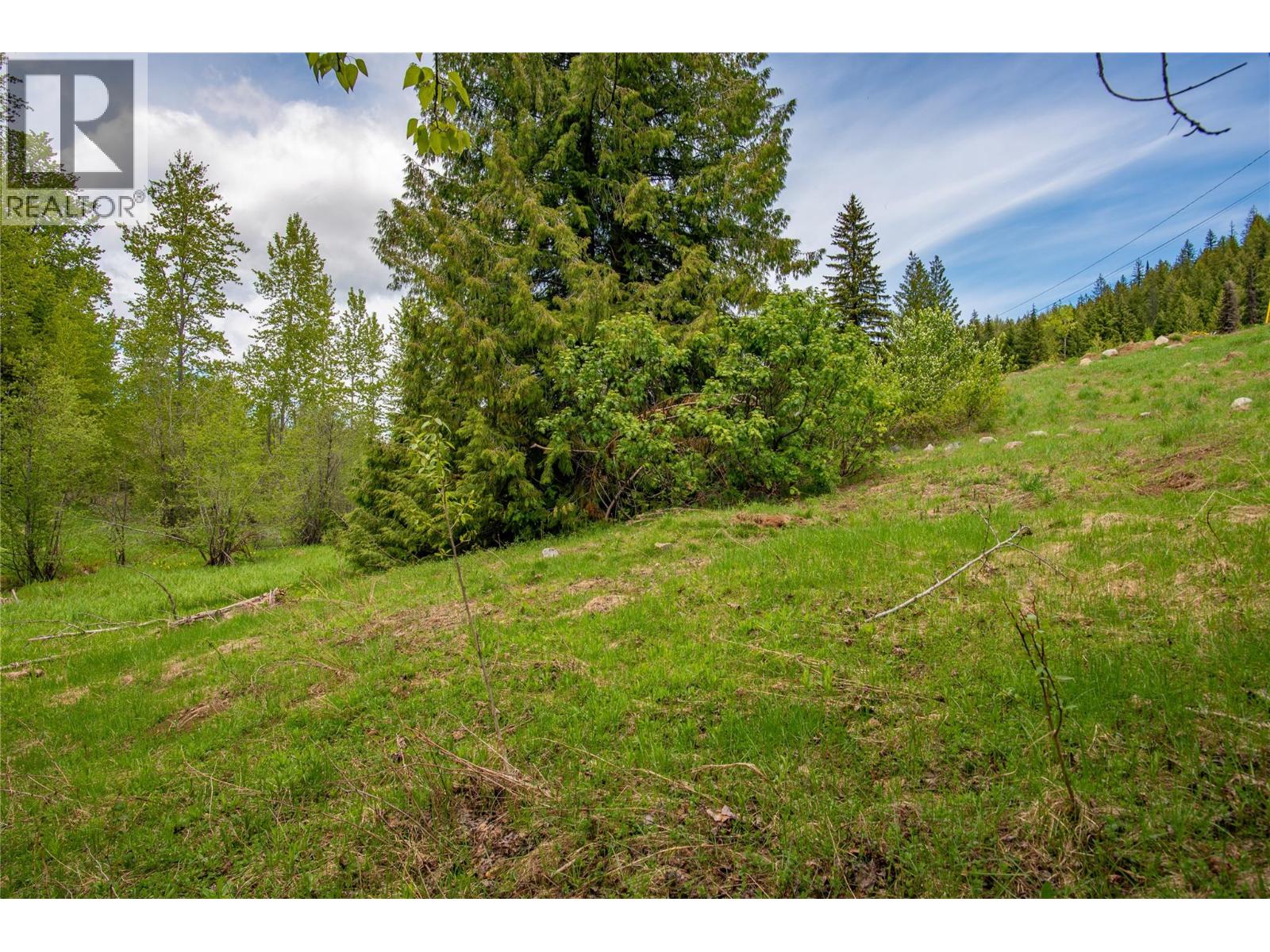 201 Joliffe Way, Rossland, British Columbia  V0G 1Y0 - Photo 42 - 10391884