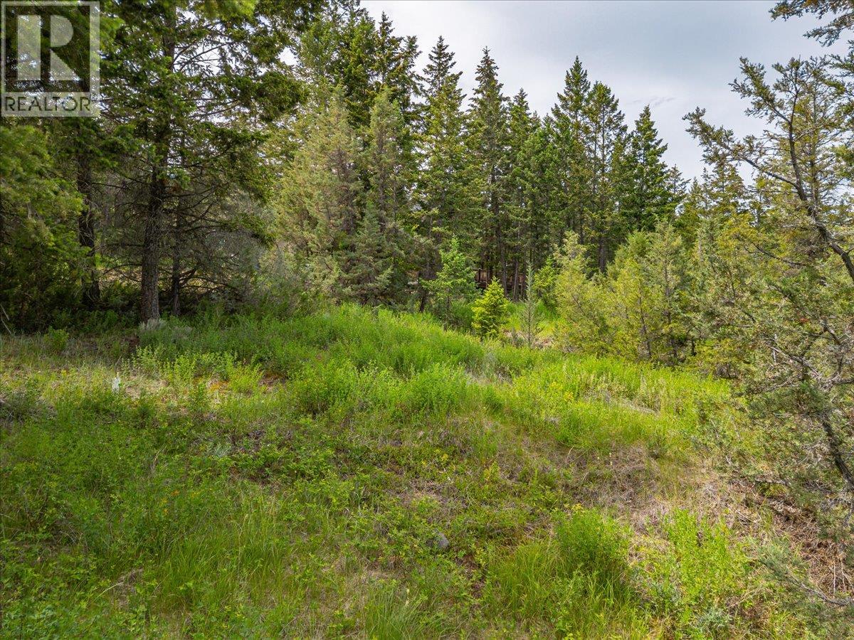 Lot 14 Bella Vista Boulevard Lot# 14, Fairmont Hot Springs, British Columbia  V0B 1L2 - Photo 12 - 10390343