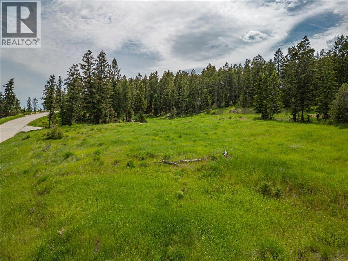 Lot 14 Bella Vista Boulevard Lot# 14, Fairmont Hot Springs, British Columbia  V0B 1L2 - Photo 6 - 10390343