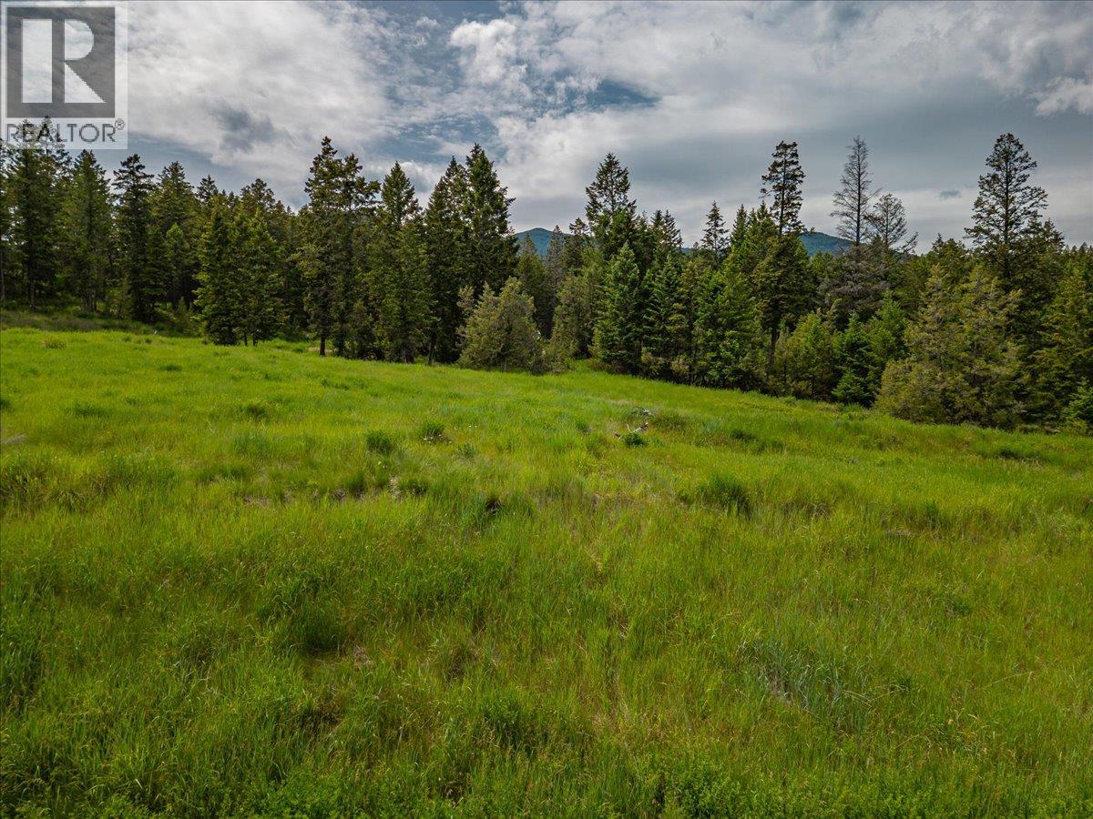 Lot 14 Bella Vista Boulevard Lot# 14, Fairmont Hot Springs, British Columbia  V0B 1L2 - Photo 8 - 10390343