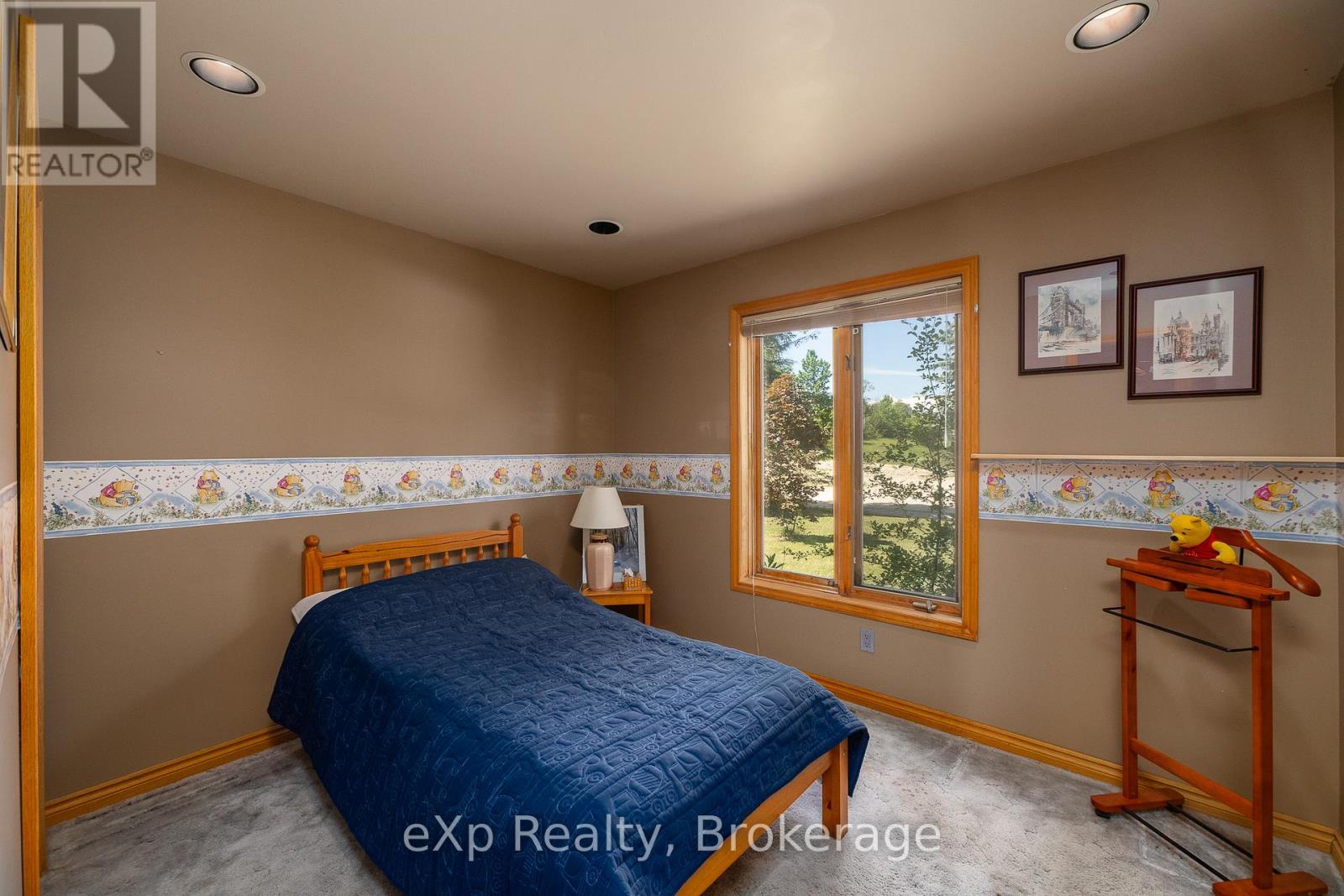 119 Douglas Street, Chatsworth, Ontario  N0H 2V0 - Photo 22 - X13459778