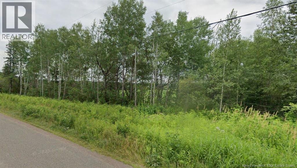 00 Synton Road, Colpitts Settlement, New Brunswick  E4J 2Y4 - Photo 6 - NB142178