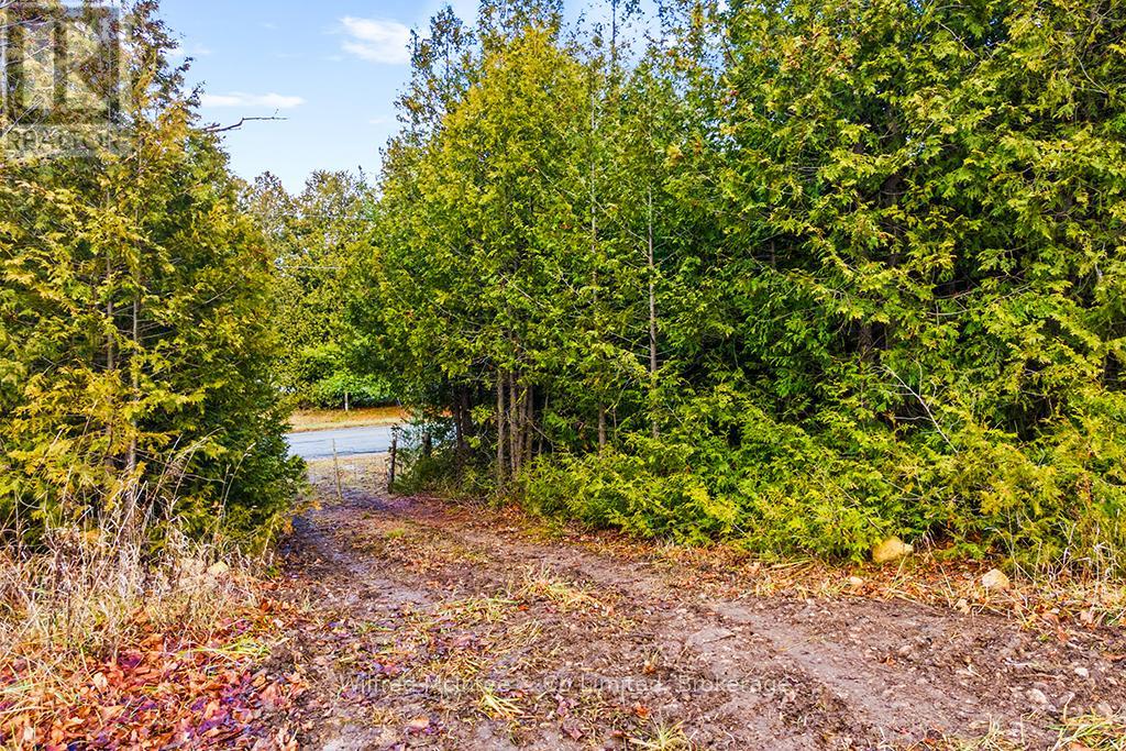 Part 2 16r6350 - Ptlt 16 5 Side Road, Chatsworth, Ontario  N0H 1G0 - Photo 3 - X13459946