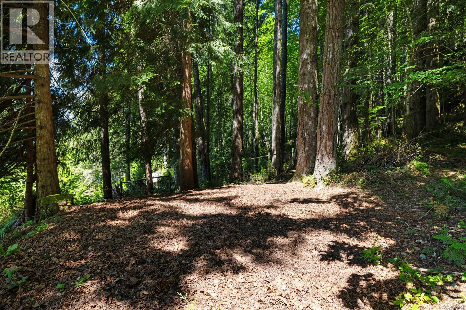 10093 Youbou Rd, Youbou, British Columbia  V0R 3E1 - Photo 42 - 1040404