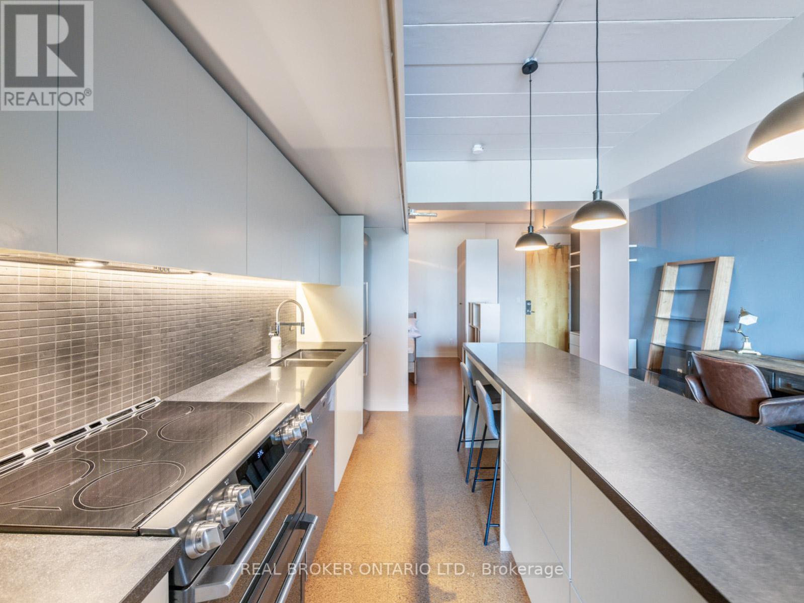405 - 160 Baldwin Street, Toronto, Ontario  M5T 1L8 - Photo 10 - C13460242