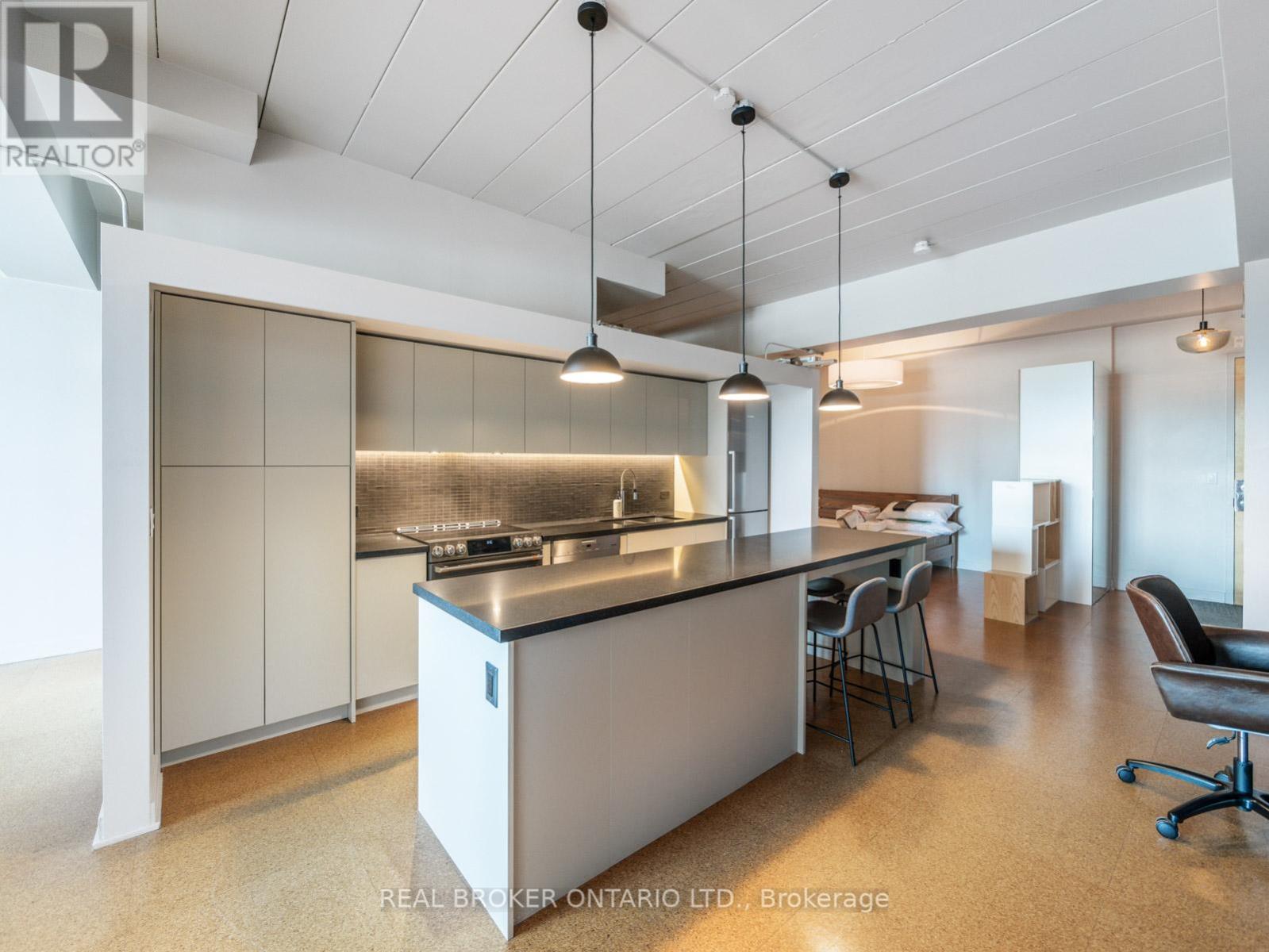 405 - 160 Baldwin Street, Toronto, Ontario  M5T 1L8 - Photo 5 - C13460242