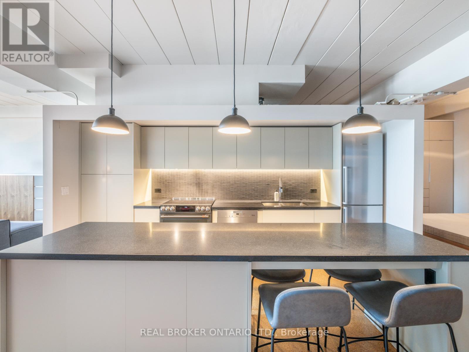 405 - 160 Baldwin Street, Toronto, Ontario  M5T 1L8 - Photo 6 - C13460242