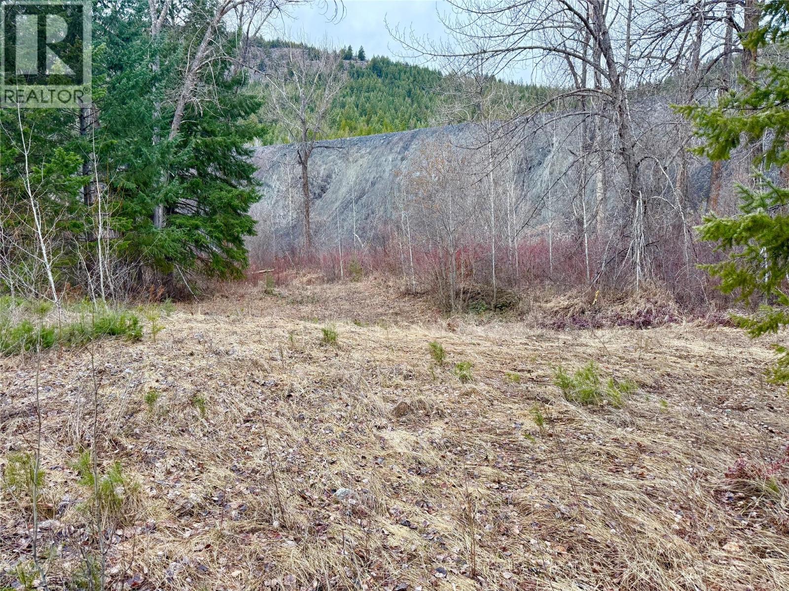 325 4th Street, Greenwood, British Columbia  V0H 1J0 - Photo 18 - 10379103