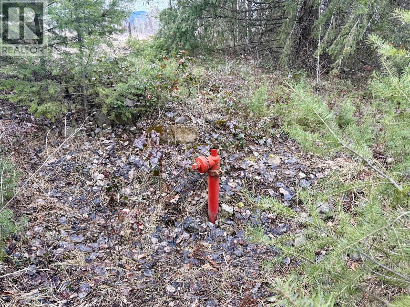 325 4th Street, Greenwood, British Columbia  V0H 1J0 - Photo 17 - 10379103