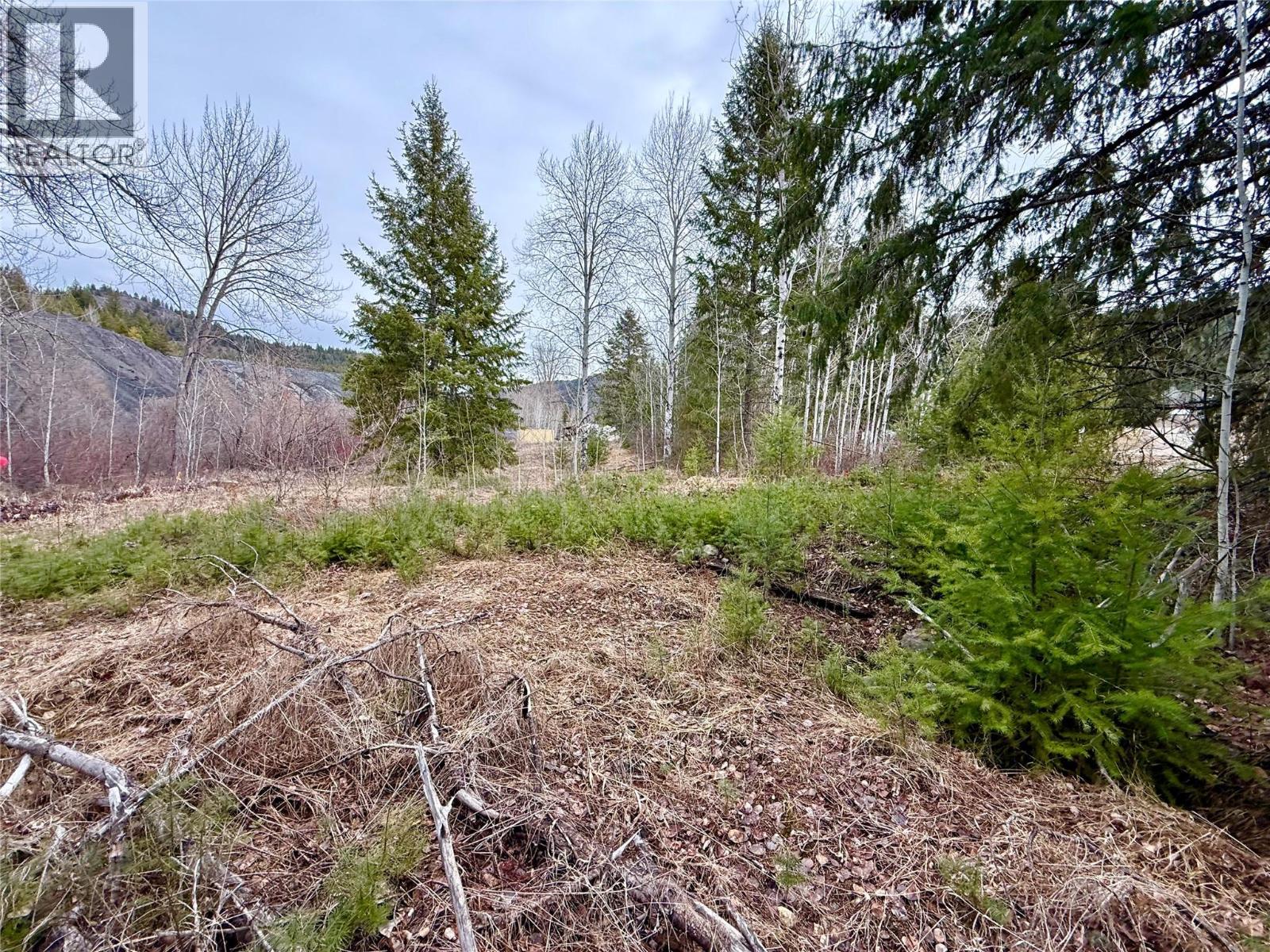 325 4th Street, Greenwood, British Columbia  V0H 1J0 - Photo 15 - 10379103